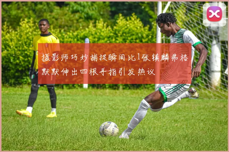 摄影师巧妙捕捉瞬间比1张镇麟弗格默默伸出四根手指引发热议