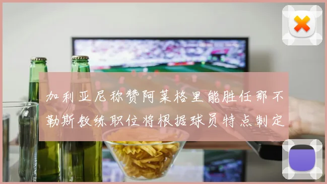 加利亚尼称赞阿莱格里能胜任那不勒斯教练职位将根据球员特点制定战术